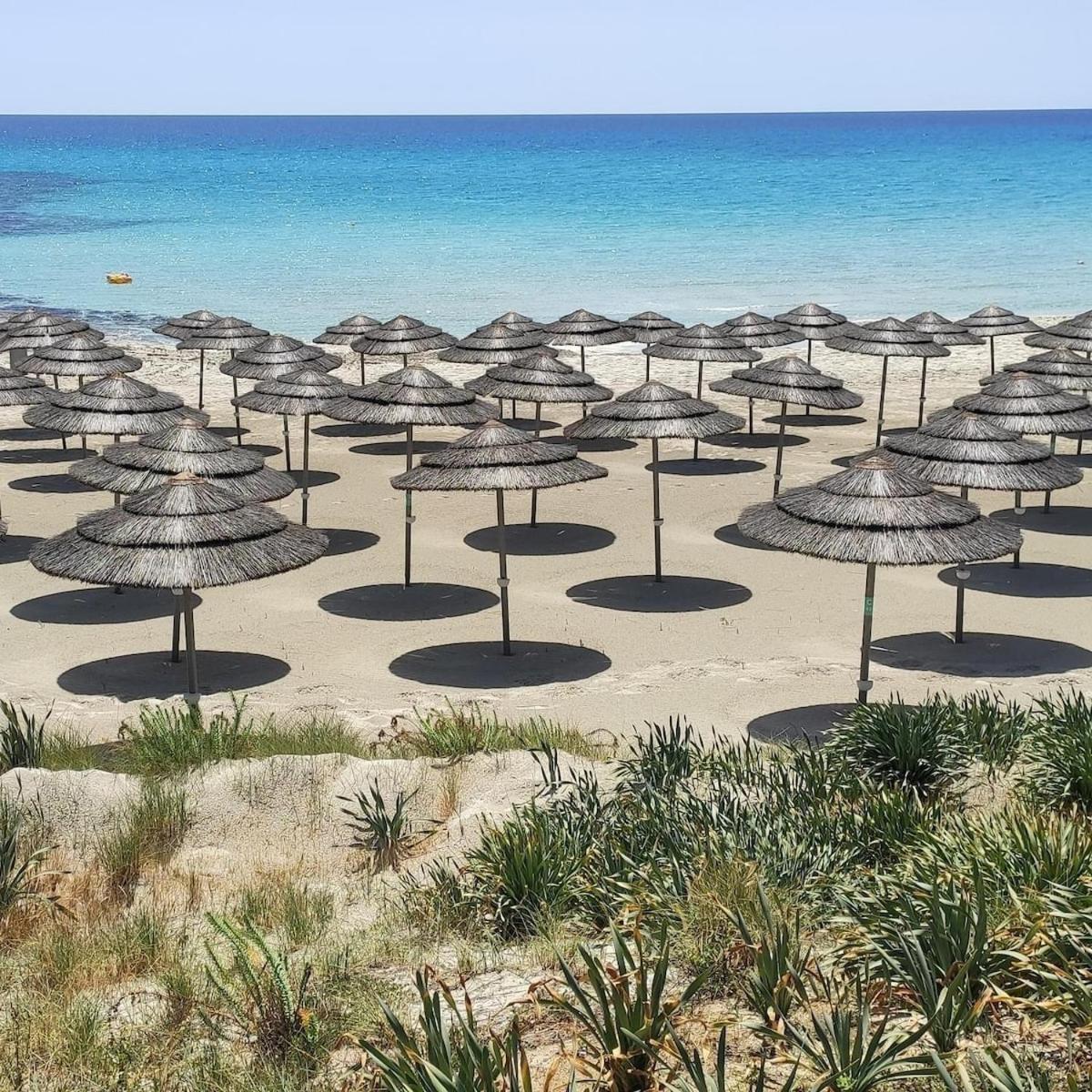 Narcissos 'nissi Beach' D12 Apartment *
